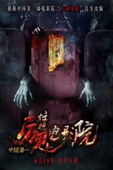 网红李子柒介绍